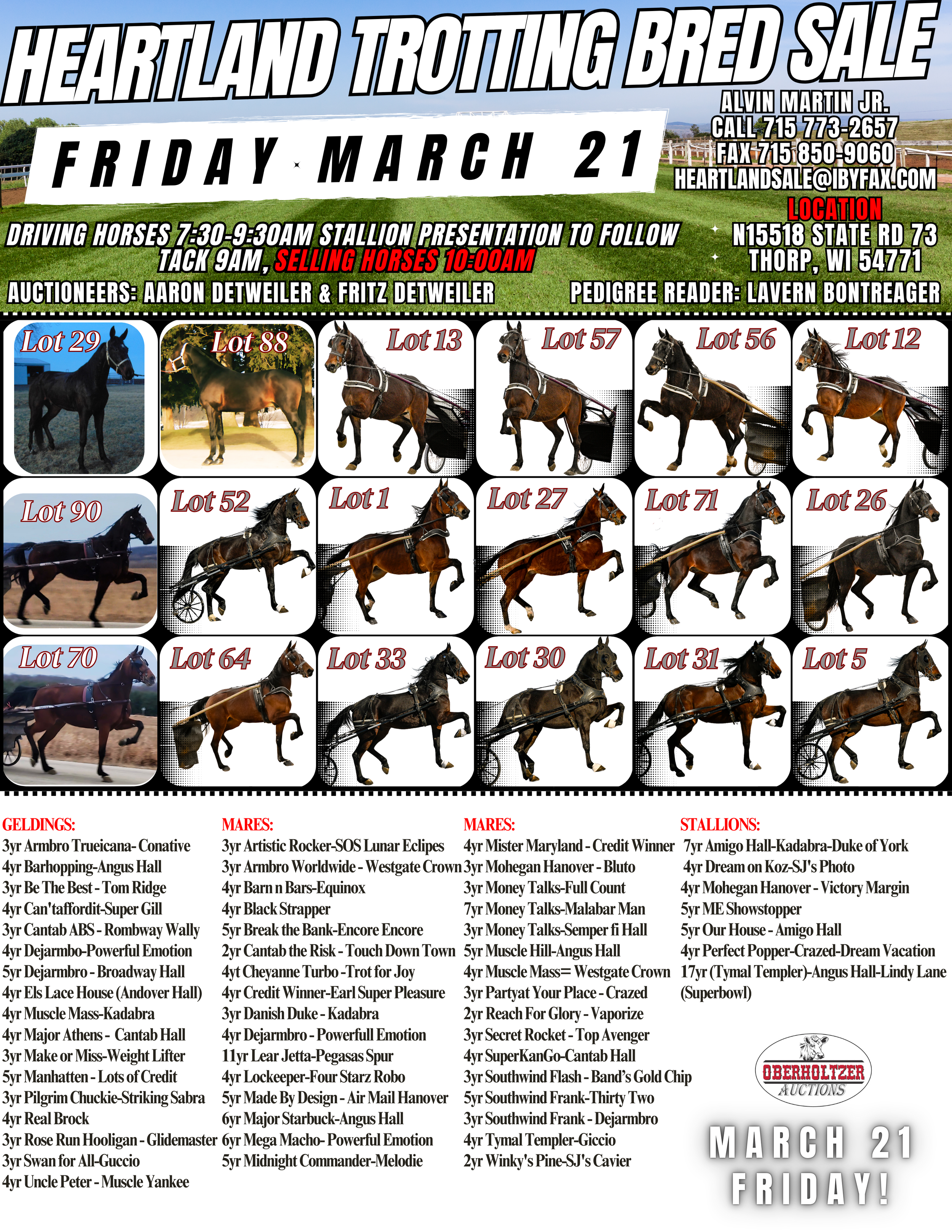 Heartland Trotting Bred Sale | Loyal, WI | Oberholtzer